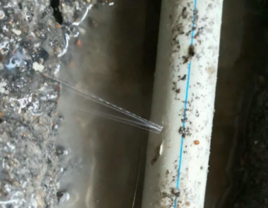 顺德测漏水哪家好