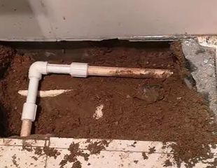 顺德测漏水哪家好