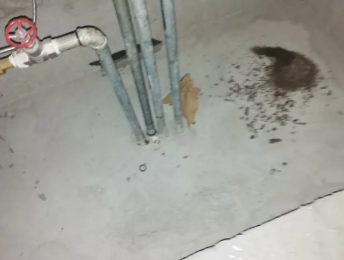 顺德卫生间测漏水价格明细