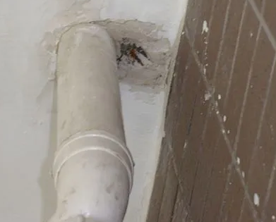 顺德漏水检测哪家好